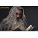 Lord Of The Rings The Fellowship of The Ring Gandalf 1/6 Scale Action Figure